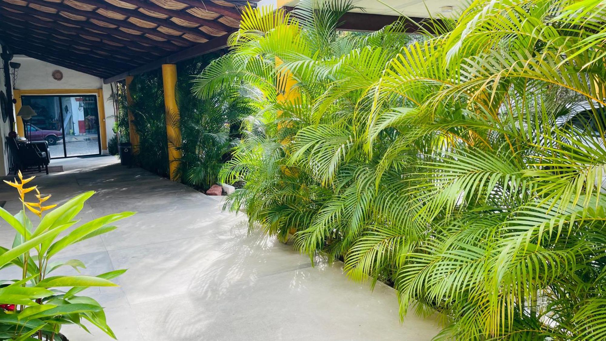 Hotel Boutique Ixaya Puerto Vallarta Luaran gambar